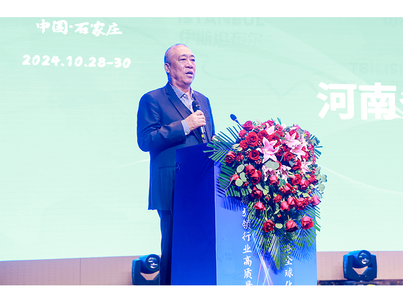 河南矿山｜以“矿源”起重智造，赋能陆港建设